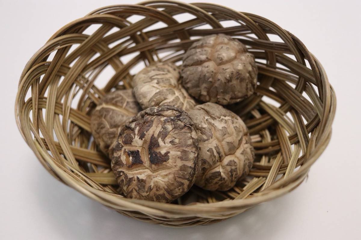 z7006466901755_2b95d0212eff52d244142a88ba7709e3