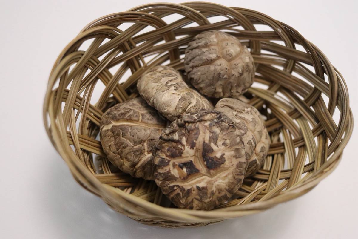 z7006467008217_da5eda65679a9e12a7992abf6bb3829c