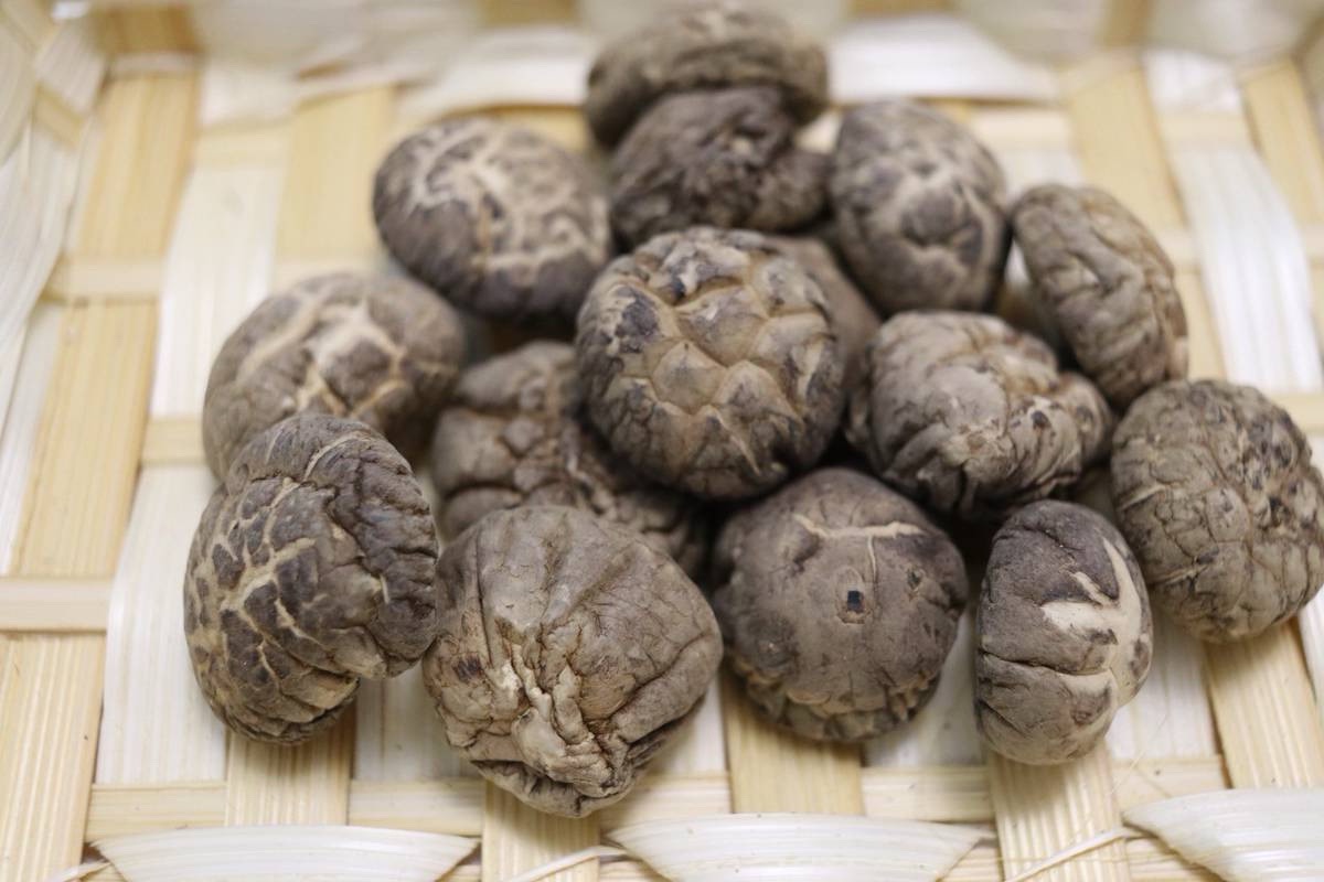 z7006472453734_9e6544ebd7b4e5510500581ab5d059a2